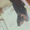 abbeyrain16